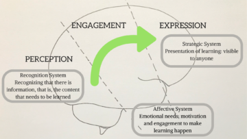 Brain systems and UDL