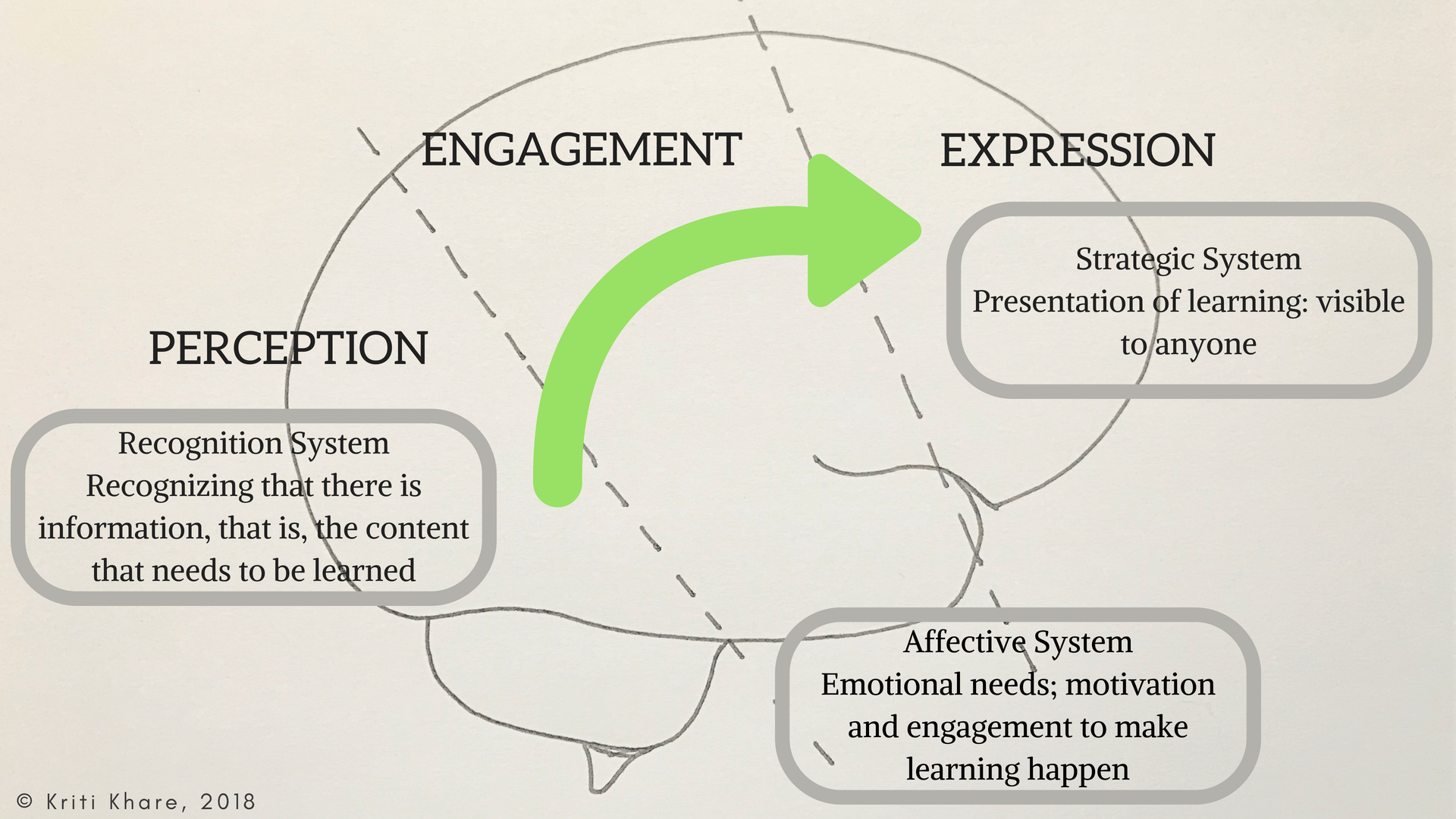 Brain systems and UDL