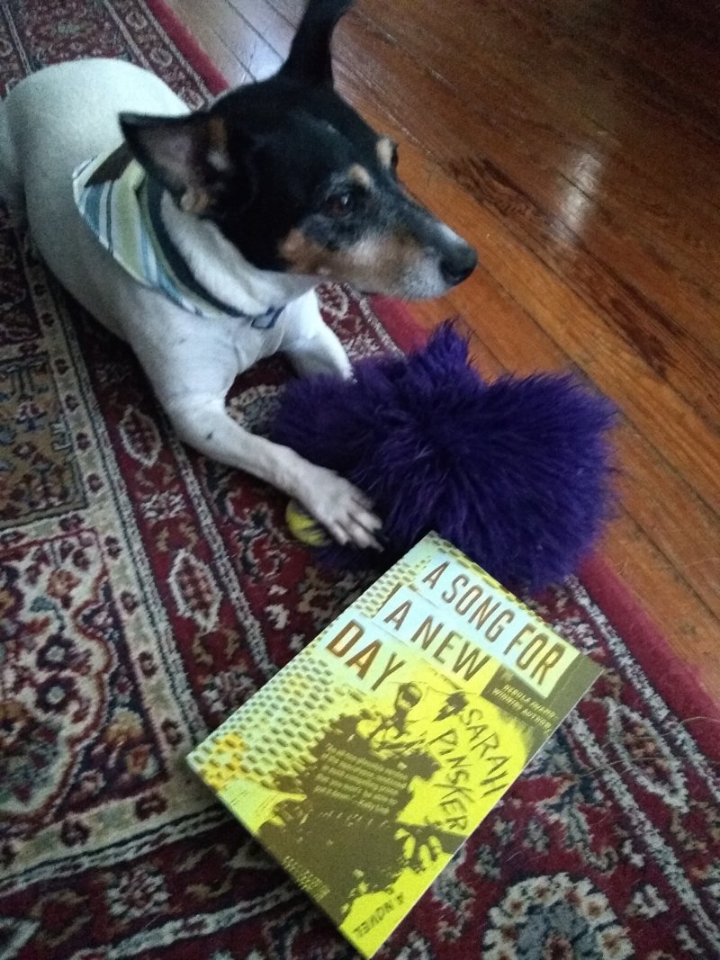 Sarah Pinsker's dog with her book