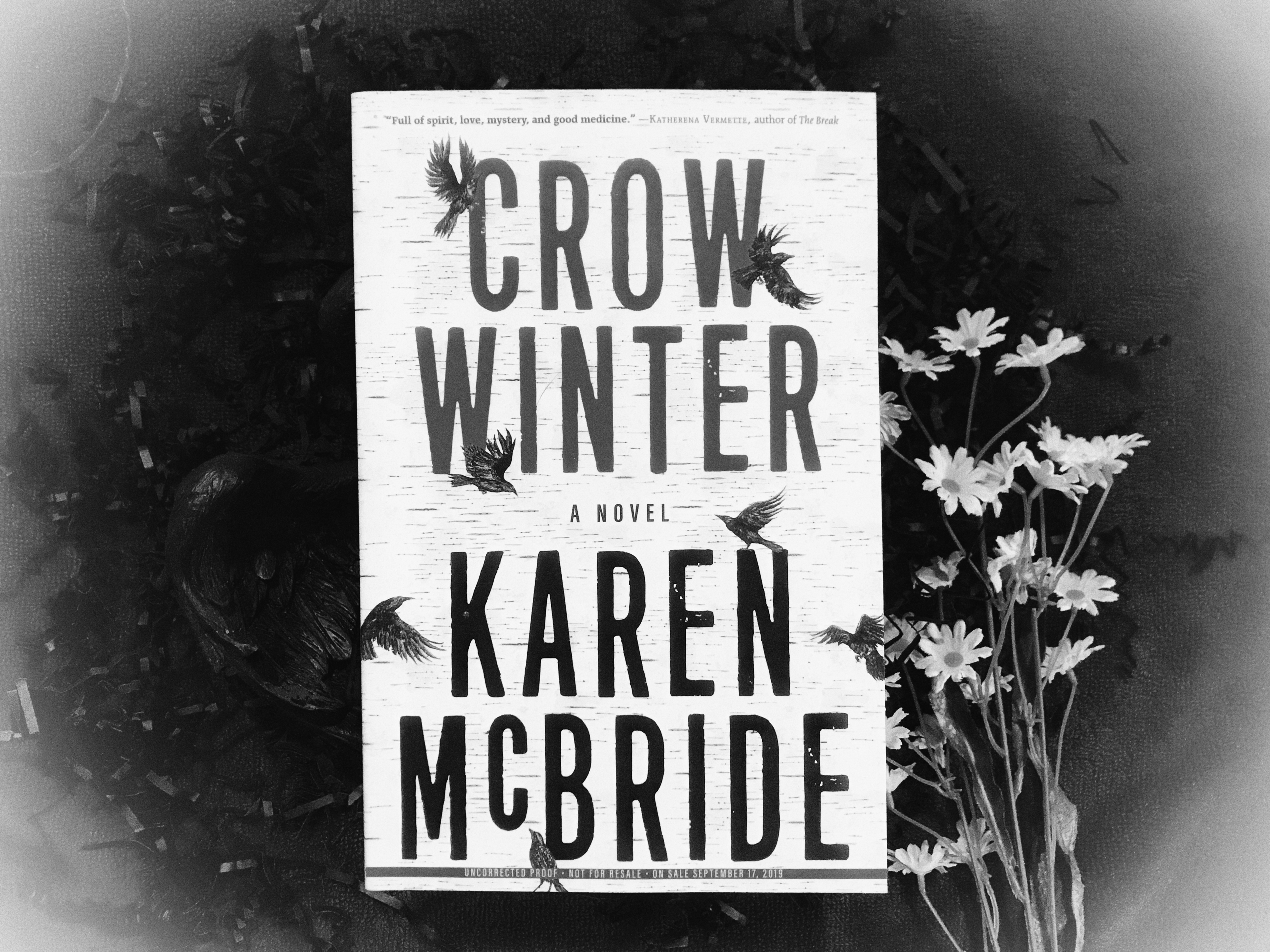 My favorite bookstagram of Crow Winter by Karen McBride