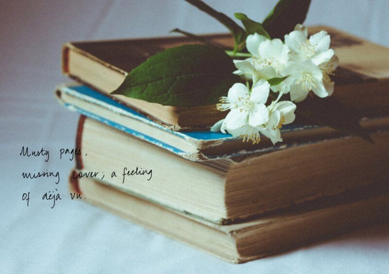 Musty pages,
missing cover; a feeling
of deja vu. - Walks