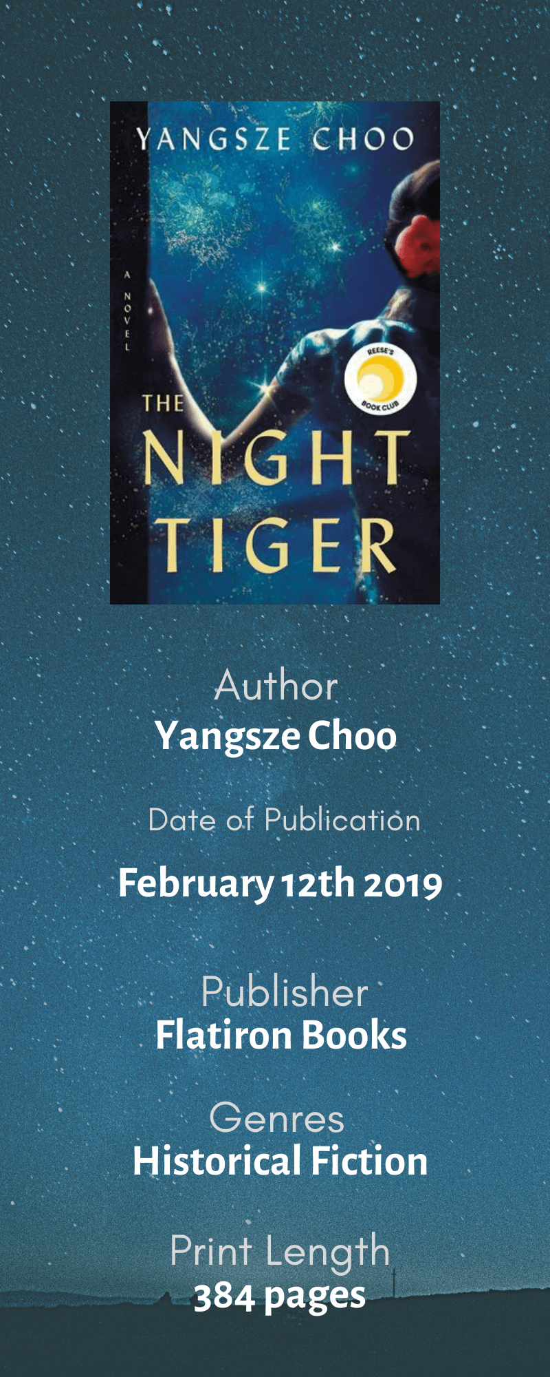the night tiger book summary