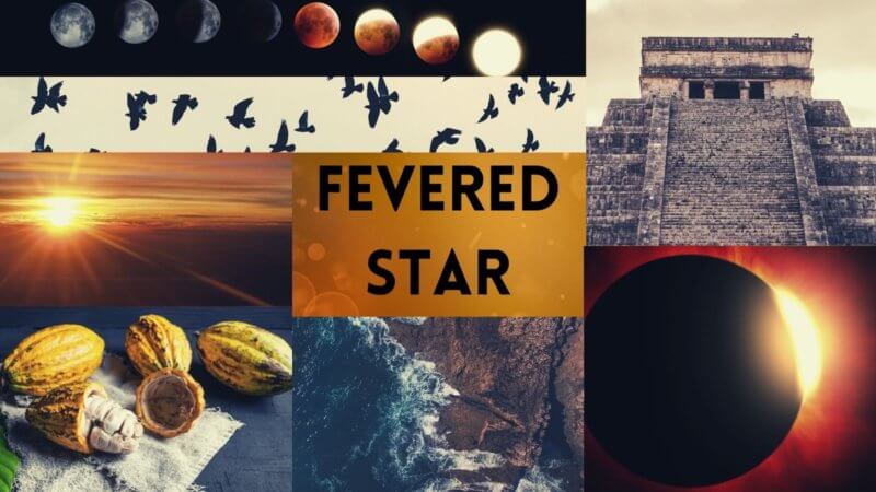 moodboard: Fevered Star by Rebecca Roanhorse