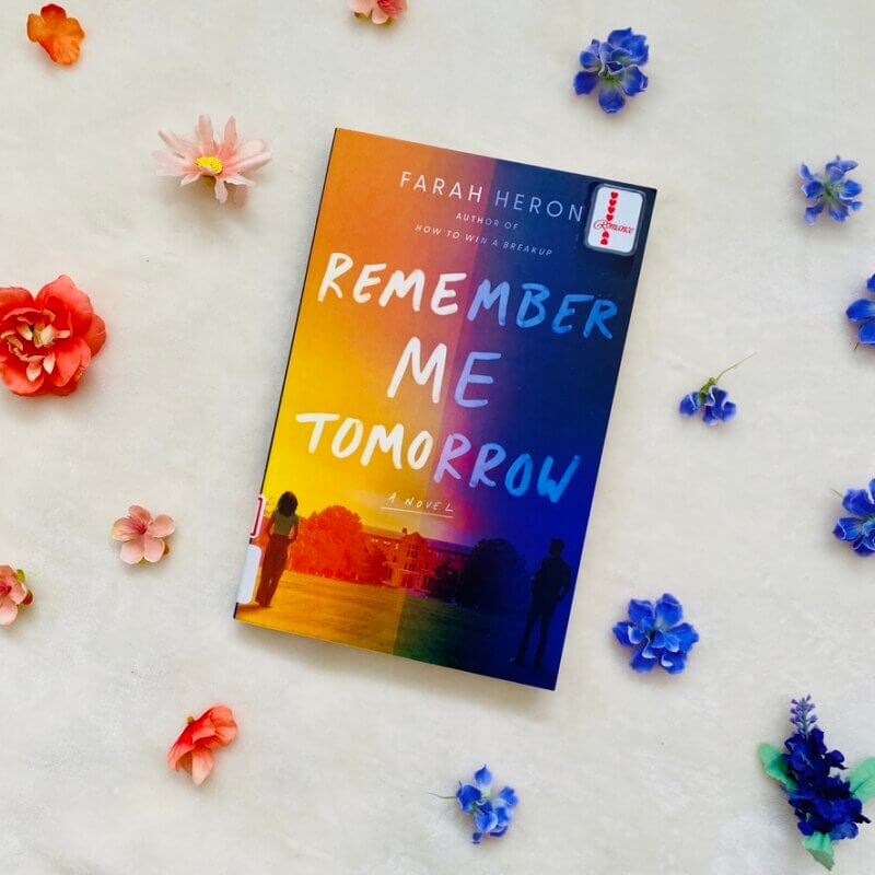 A book reviewed during November Writing Challenge: Remember Me Tomorrow