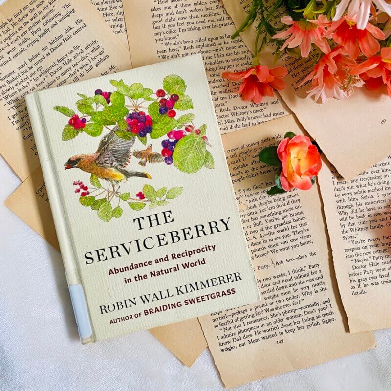 the serviceberry by robin wall kimmerer staged by kriti