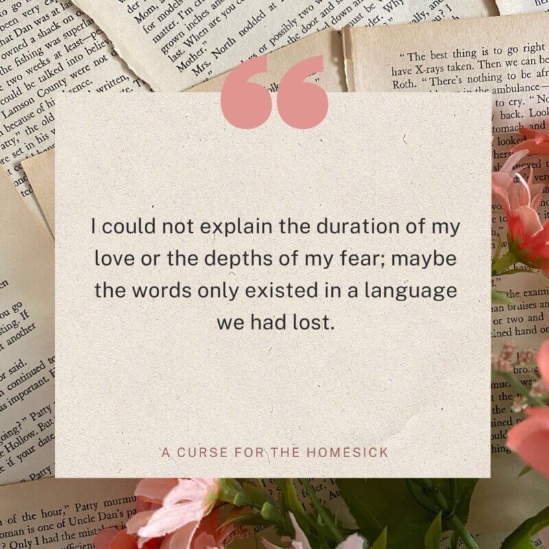 Quote about love  2: When Language Fails Love
“I could not explain the duration of my love or the depths of my fear; maybe the words only existed in a language we had lost.” - a curse for the homesick