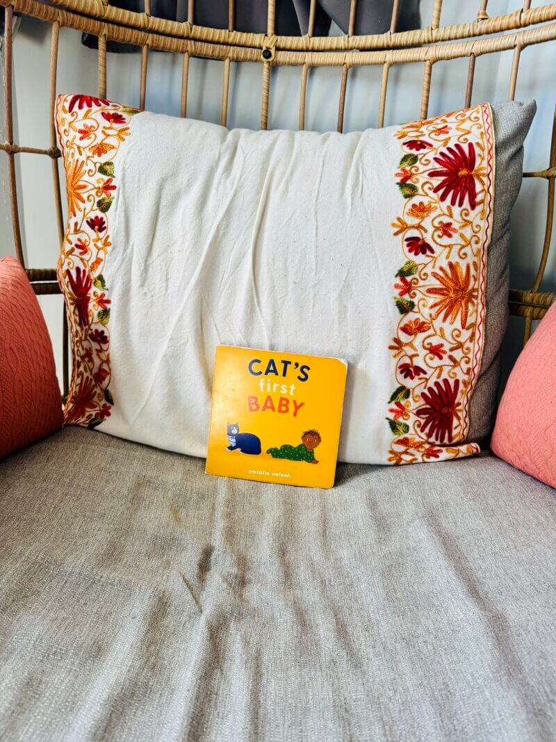 Cat's First Baby and the reading chair